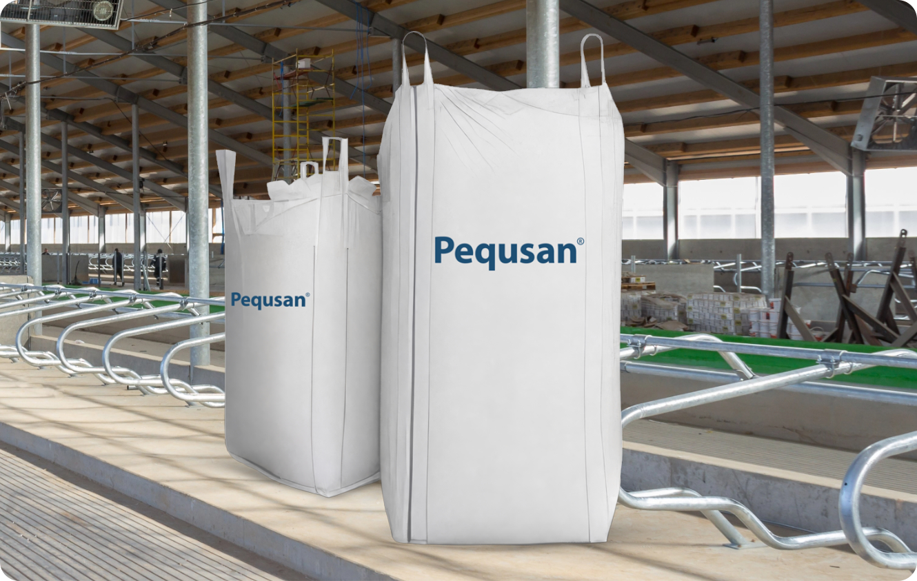 Pequsan 1